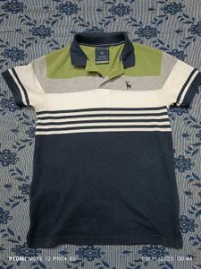 Flick Striped Polo T Shirt (💚 🤍 💙)