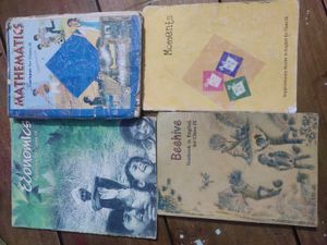 Ncert Class 9th Math, Economics, Beehive, Moments