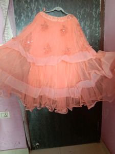 Peach Embellished Lehenga Skirt