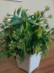 Fake decorative  plant For decoration