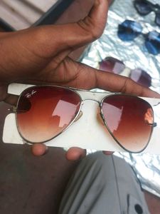 Sunglasses Collection