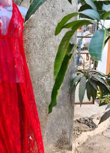 7.13.2 SEXY NET LONG GOWN