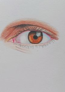 Colour Pencil Drawing