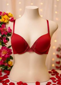 🔥❤️Hot Look Maroon Paded  Lace Bra