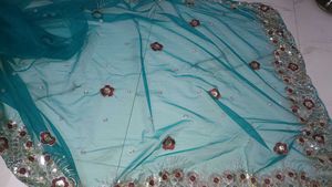 Whole Saree Set! Vintage Green! Sparkly Sequence