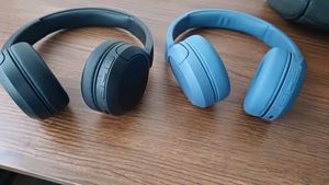 SONY headphones with microphone