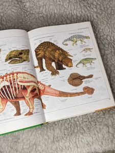 DK Visual Dictionary