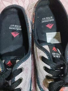 Emerica Shoes.... Brand New Not Even Wore Once...