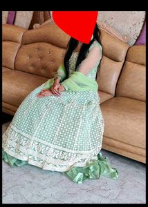 Elegant Light Green Gown