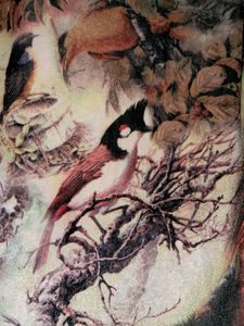 Velvet Body con Dress