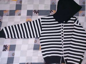Striped Knit Hoodie