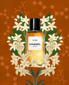 Chanel N°22 EDP 75ml  ( RARE Find) ⭐️⭐️⭐️