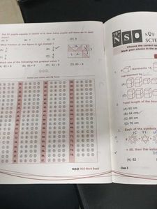NSO Olympiad Class 3 Workbook