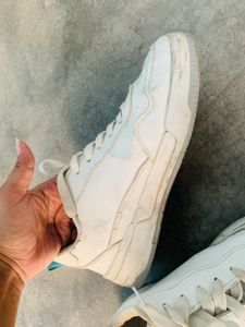 Calcetto Brand White Sneakers