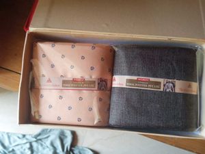 Welmont Box Shirt And Pant Combo