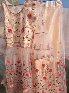 Elegant Embroidered Salwar Suit