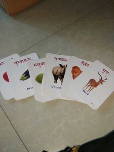 Vocabulary Flashcards