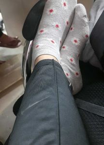 🧦Regular Grey🧦