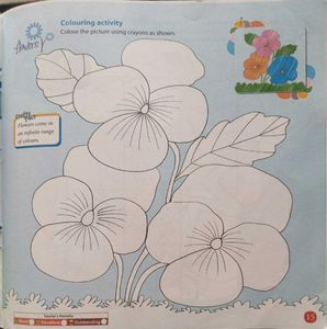 Class 5 Art And Craft