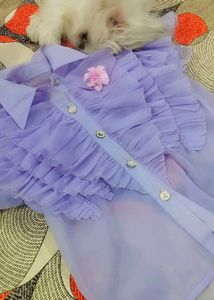 Ruffled Sheer Lavender Blouse