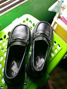 Crocodile Loafer Shoe One Time Used Only