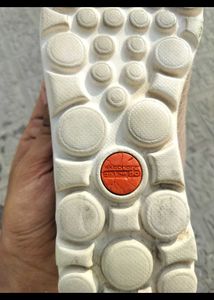 💜🛍️OG SKETCHERS WOMEN