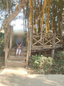 Elegant Blue Printed Kurti