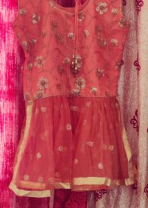 Embroidered Peach lehenga choli