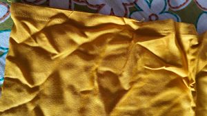 Plazzos And Salwar Pants Combo
