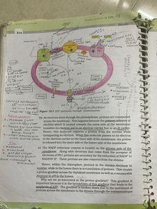 Class 11th Biology NCERT Textbook