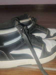 Cool Puma Shoes For Men