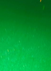 Green Bulletin Board