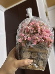 Artificial Plant