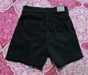 Miss Chase Women Black Shorts