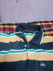 polo t shirt 💯 cotton stylish