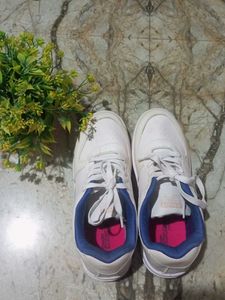 White Sneakers