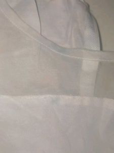 Elegant Sheer Sleeve Top