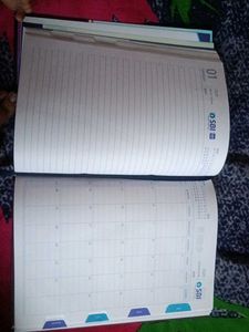 Diary Of 2025