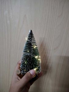 Miniature Christmas Tree✨