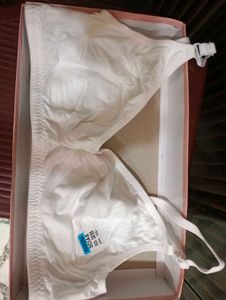 Shilpa Lingerie Briefs ( All Sizes Available)
