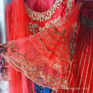 Rani Embroidered Lehenga Choli