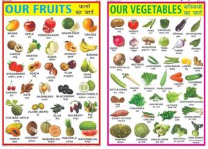 Combo Of 4 Hindi Varnmala Etc, Learning Chart