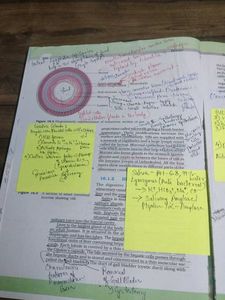 NCERT BIOLOGY CLASS 11th