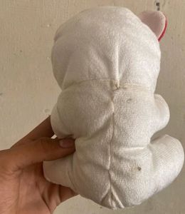 White Teddy
