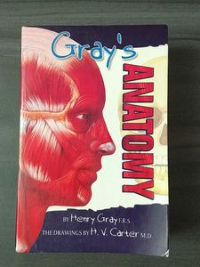 Gray's Anatomy