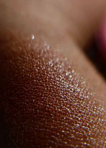 N. TRENDY KOREAN SPONGE BLUSH