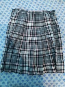 A Party Wear Skirt