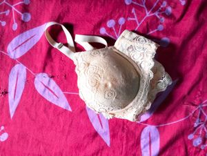Brand New Women Bra