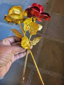 Roses