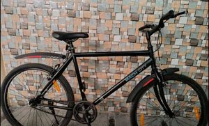 Brand New Cycle